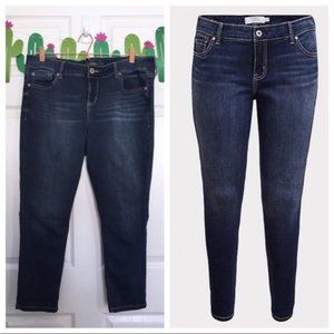 Torrid Premium Medium Wash Stretch Skinny Jeans